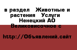  в раздел : Животные и растения » Услуги . Ненецкий АО,Великовисочное с.